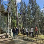 Dals Långed: High Ropes Adventure for Adults and Kids - The Experience: What You Can Expect