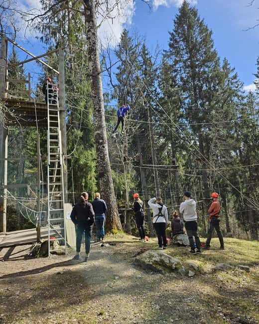 Dals Långed: High Ropes Adventure for Adults and Kids - The Experience: What You Can Expect