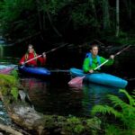 Dals Långed: Steneby River Kayaking Tour - What to Expect During Your Kayaking Trip