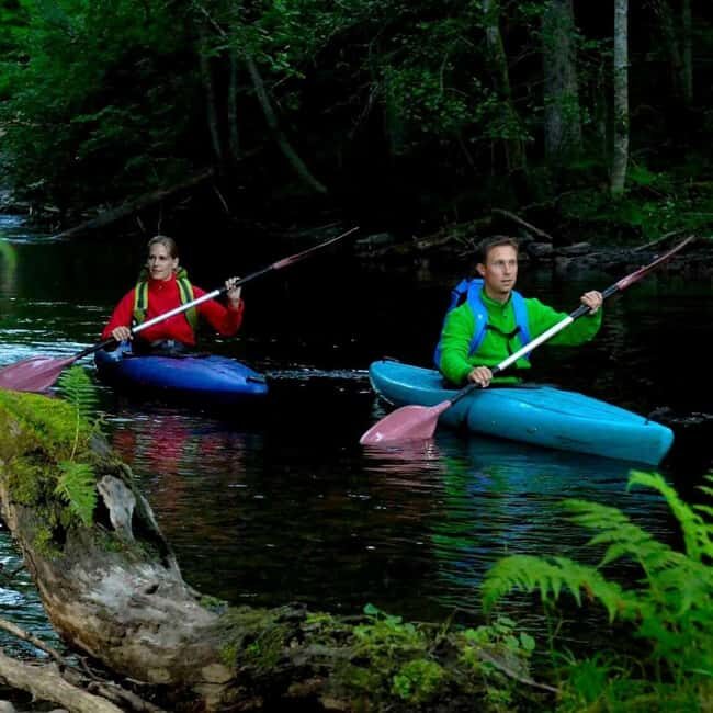 Dals Långed: Steneby River Kayaking Tour - What to Expect During Your Kayaking Trip