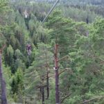 Dals Långed: Zipline Adventure at Steneby Gård - The Experience in Detail: From Arrival to Flight