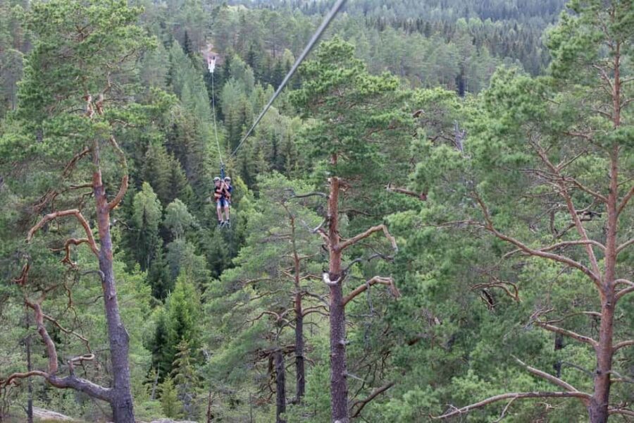 Dals Långed: Zipline Adventure at Steneby Gård - The Experience in Detail: From Arrival to Flight