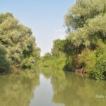 Danube Delta PRIVATE boat trip to Mila23 Village (guided tour) - Key Points