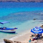 Danzante Island and Snorkel Tour from Villas del Palmar Hotel - Who Is This Tour Best For?
