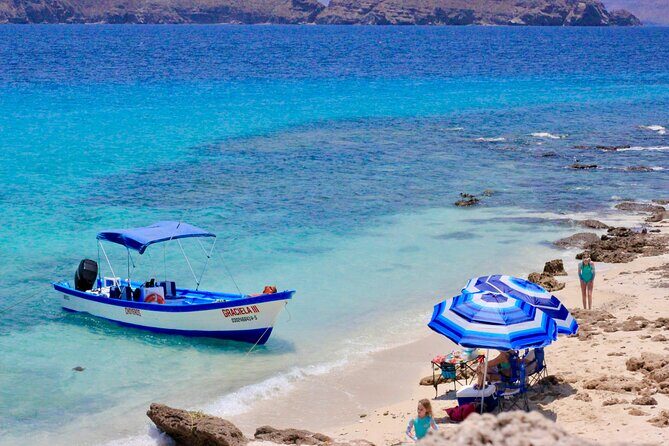 Danzante Island and Snorkel Tour from Villas del Palmar Hotel - Who Is This Tour Best For?