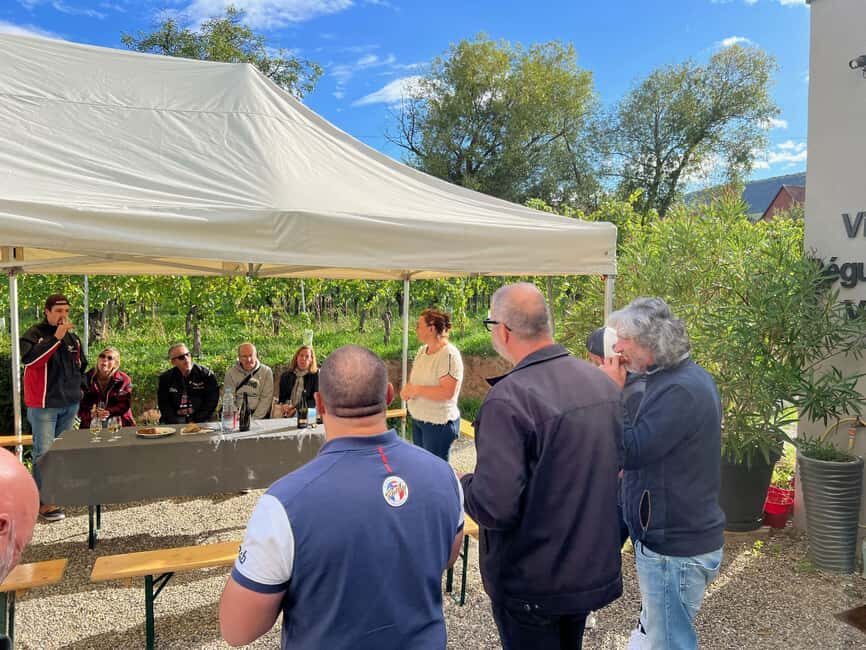 Dare to Alsace Wine with a Feminine Touch - The Value of the Tour