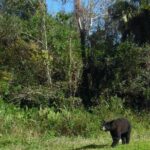 Dark Sky's in the Florida Everglades - What to Expect from Each Part of the Tour