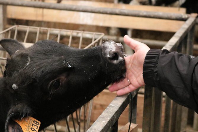 Day at the Farm - Exploring the Details: What to Expect from the Tour