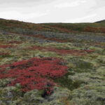 Day Hike to Grimannsfell: Waterfall & Legacy - moderate - A Closer Look at the Experience