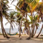 Day Pass to Private Clothing Optional Beach Resort in Xcalak - Detailed Breakdown: What to Expect