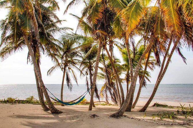 Day Pass to Private Clothing Optional Beach Resort in Xcalak - Detailed Breakdown: What to Expect