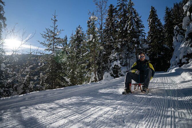Day Sledding in Interlaken - What’s Included and What to Bring