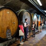 Day ticket for Klosterneuburg Abbey - Final Thoughts