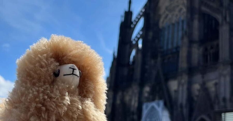 Day tour Aachen & Cologne from Brussels - The Value of This Experience