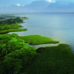 Day Tour Sapanca, Masukiye Tour from Istanbul - Who is This Tour Best Suited For?