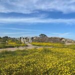 Day Tour to Famagusta, Ghost Town & Ancient Salamis - Stop 2: Strovilia Checkpoint