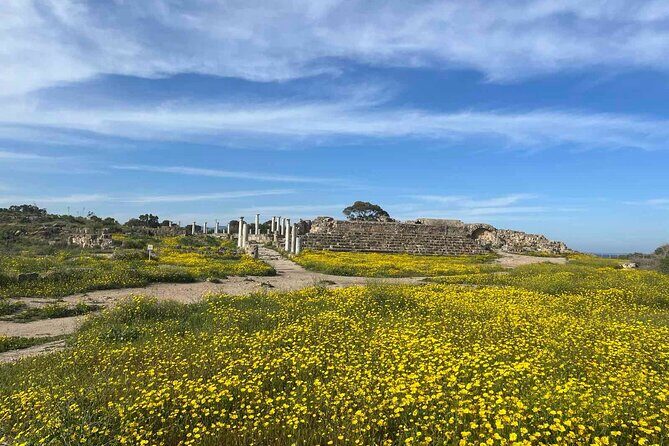 Day Tour to Famagusta, Ghost Town & Ancient Salamis - Stop 2: Strovilia Checkpoint