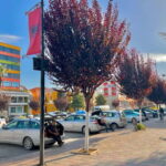 Day Tour to Fier  Discover Albanias Historical Heart - Who Should Consider This Tour?