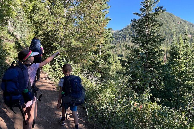 Day Trip Activity at Utah Mountain Backcountry with Box Lunch - Discovering Utah’s Mountain Backcountry
