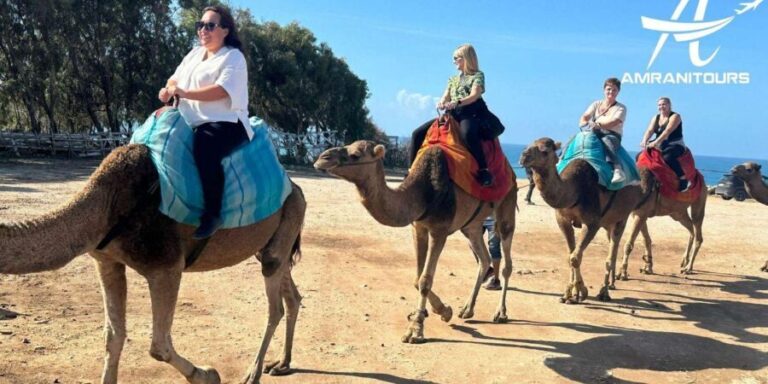 Day trip from Gibraltar to Morocco All Inclusive - The Experience’s Strengths