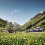 Day Trip from Zurich: Grindelwald First Mountain Adventure - Practical Details That Matter