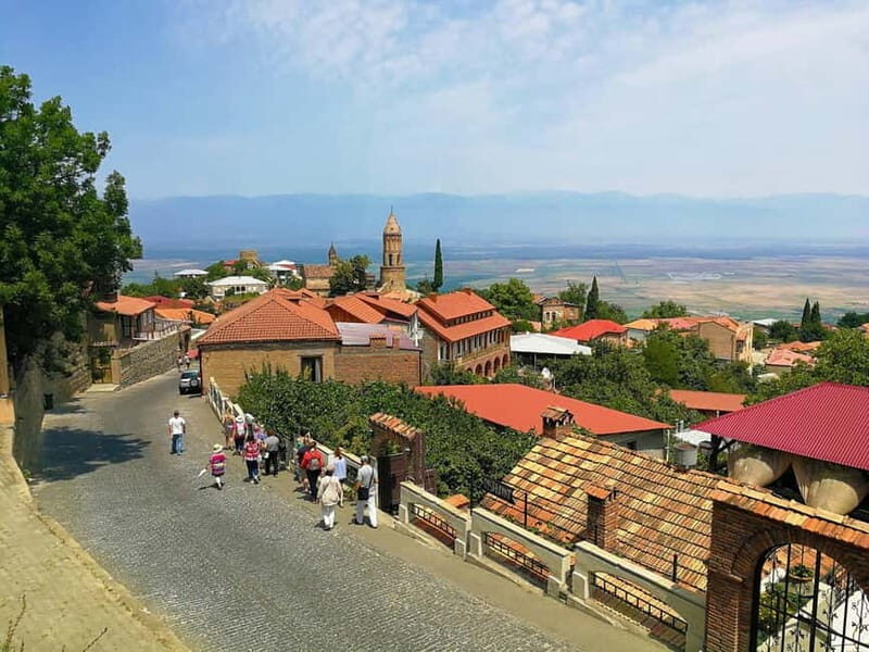 Day trip in Kakheti-Beauty and Love in a Glass Wine - What’s Included and What’s Not