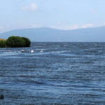 Day trip to Dashbash Canyon with Licensed Guide - Real Travelers Experiences