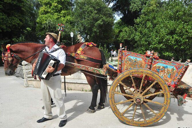 Day Trip to Erice, Scopello, Castellammare, Saline Reserve - What Makes This Tour Stand Out?