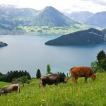 Day Trip to Lucerne and Mt. Rigi with a local from Zurich - Transportation and Group Size