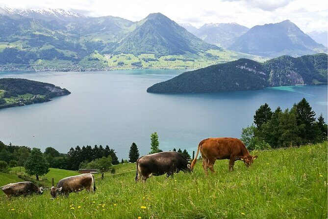 Day Trip to Lucerne and Mt. Rigi with a local from Zurich - Transportation and Group Size