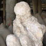 Day Trip to Mount Vesuvius & Pompeii Ruins from Rome - Private Tour - Real Traveler Feedback