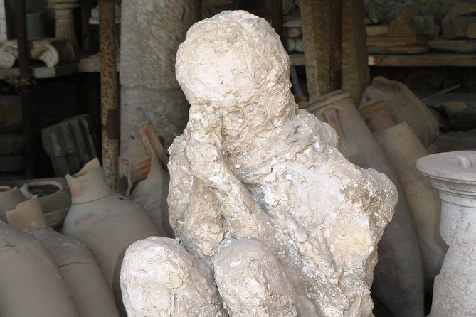 Day Trip to Mount Vesuvius & Pompeii Ruins from Rome - Private Tour - Real Traveler Feedback