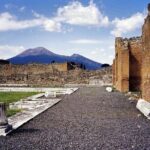 Day trip to Pompeii and Mount Vesuvius from Naples - Who Will Love This Tour?