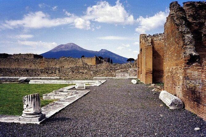 Day trip to Pompeii and Mount Vesuvius from Naples - Who Will Love This Tour?