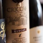 Day trip to Republic of Moldova - visit Chisinau and Cricova Winery - Who is this tour best for?