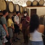 Day Trip to Santorini From Athens - How it Feels to Experience This Tour