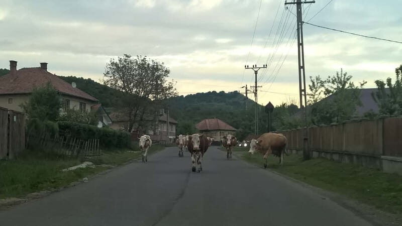 Day Trip to the Land of Hidden Caves - The Geological and Natural Highlights