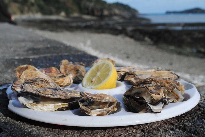 Day Trip with a local driver Dinan & Cancale from Saint-Malo - 7 hours - FAQ