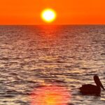 Daytona Beach: Sunrise Cruise on the Atlantic Ocean - What’s Included and What to Keep in Mind