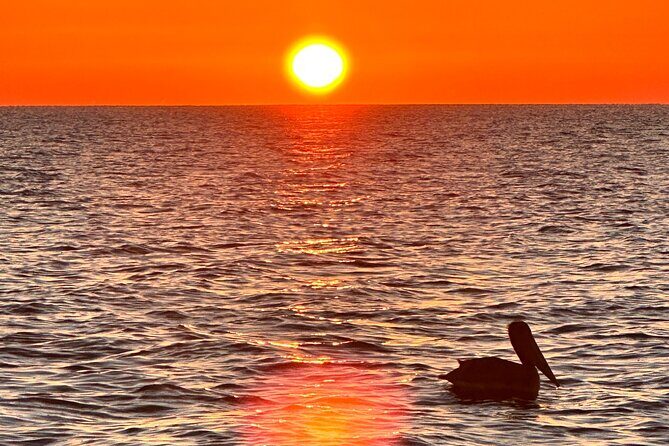 Daytona Beach: Sunrise Cruise on the Atlantic Ocean - What’s Included and What to Keep in Mind