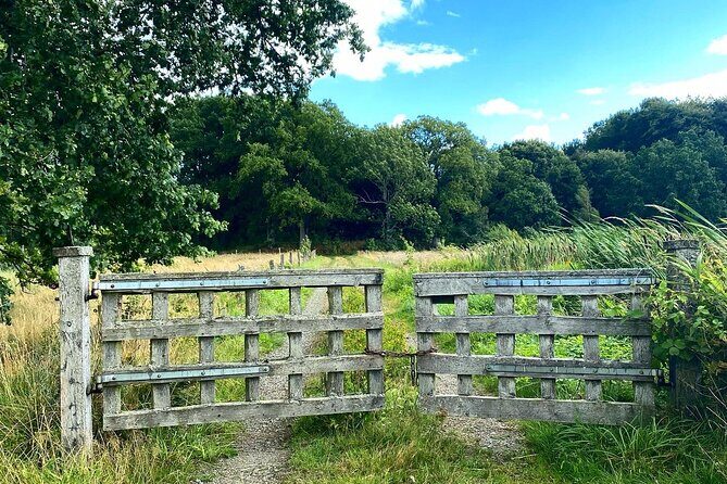 Daytrip Bike Tour on the Swedish Countryside Private - A Closer Look at the Experience