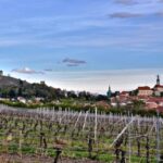 Daytrip from Prague - Mikulov with a stop at Lednice chateau - Is This Tour Worth It?