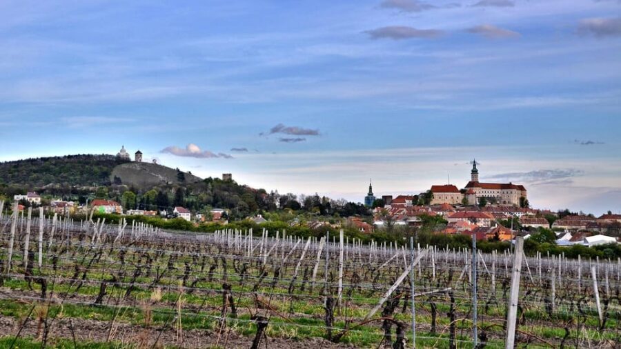 Daytrip from Prague - Mikulov with a stop at Lednice chateau - Is This Tour Worth It?