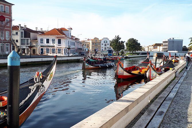 DayTrip Porto to Lisboa (optional visit to Aveiro_Coimbra_Fátima) Since 400eur - What’s Included and What’s Not?