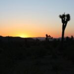 Death Valley Small Group Day Tour with Sunset and Stargazing - The Experience of the Day
