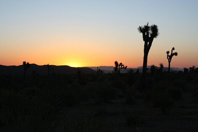 Death Valley Small Group Day Tour with Sunset and Stargazing - The Experience of the Day
