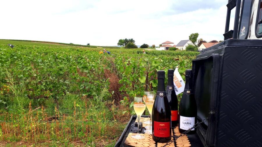 Dégustation de champagne balade panoramique dans les vignes - Itinerary Breakdown