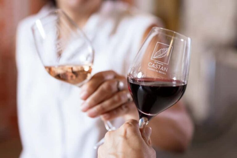 Dégustation Terroir : Journey to the heart of Domaine Castan's flavours - The Value in Context