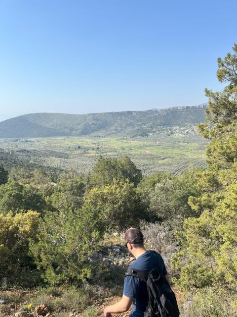 Delphi: Easy Hike from the Monastery to the Mycenaean tomb - Who Will Love This Experience?