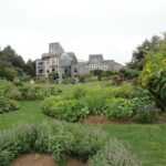 Deluxe North Shore and City Tour - What Makes This Tour Stand Out